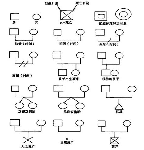 家族樹離婚